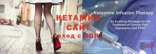 шишки Абаза