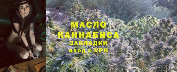 шишки Абаза