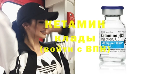 шишки Абаза
