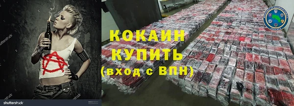 шишки Абаза