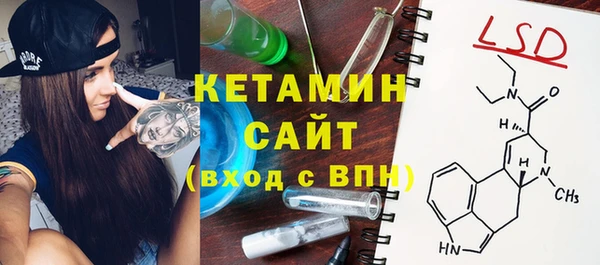 шишки Абаза